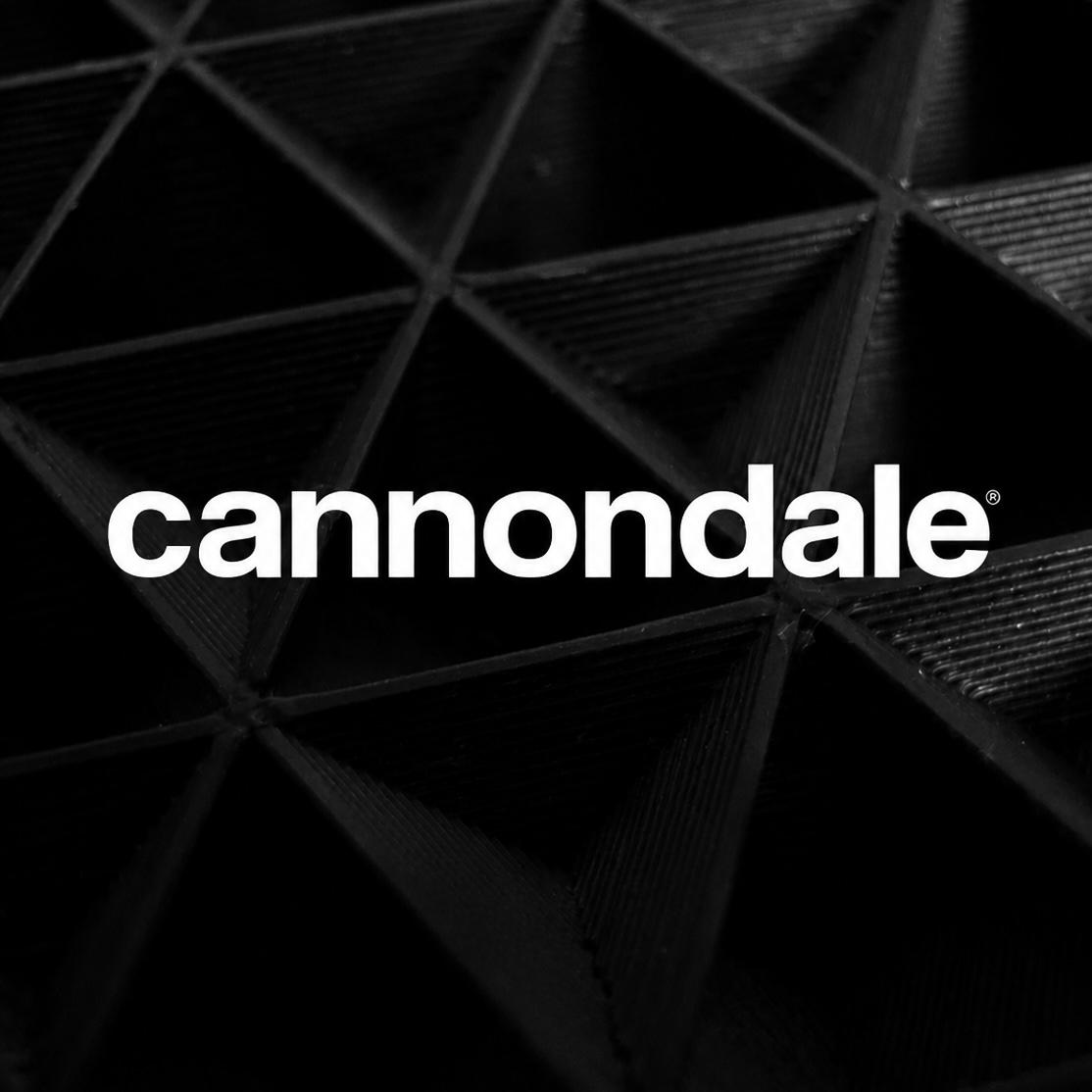 CANNONDALE Image