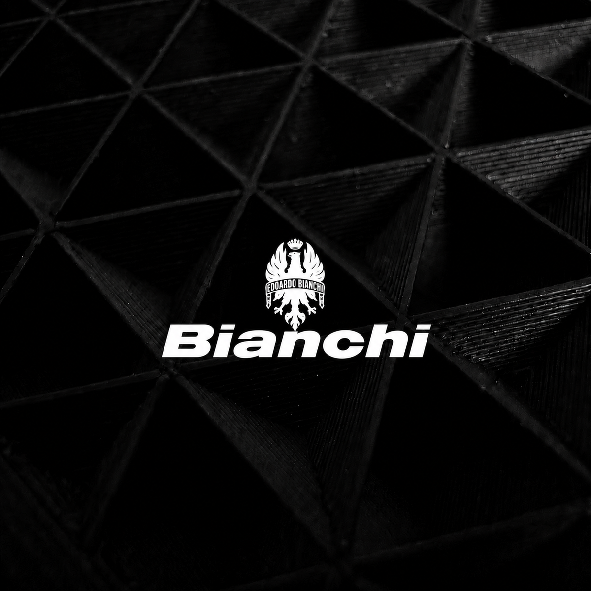 BIANCHI Bild