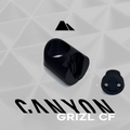 ADAPT - Canyon Grizl CF